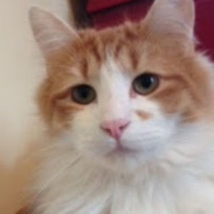 Meet your Posher, Kirsten